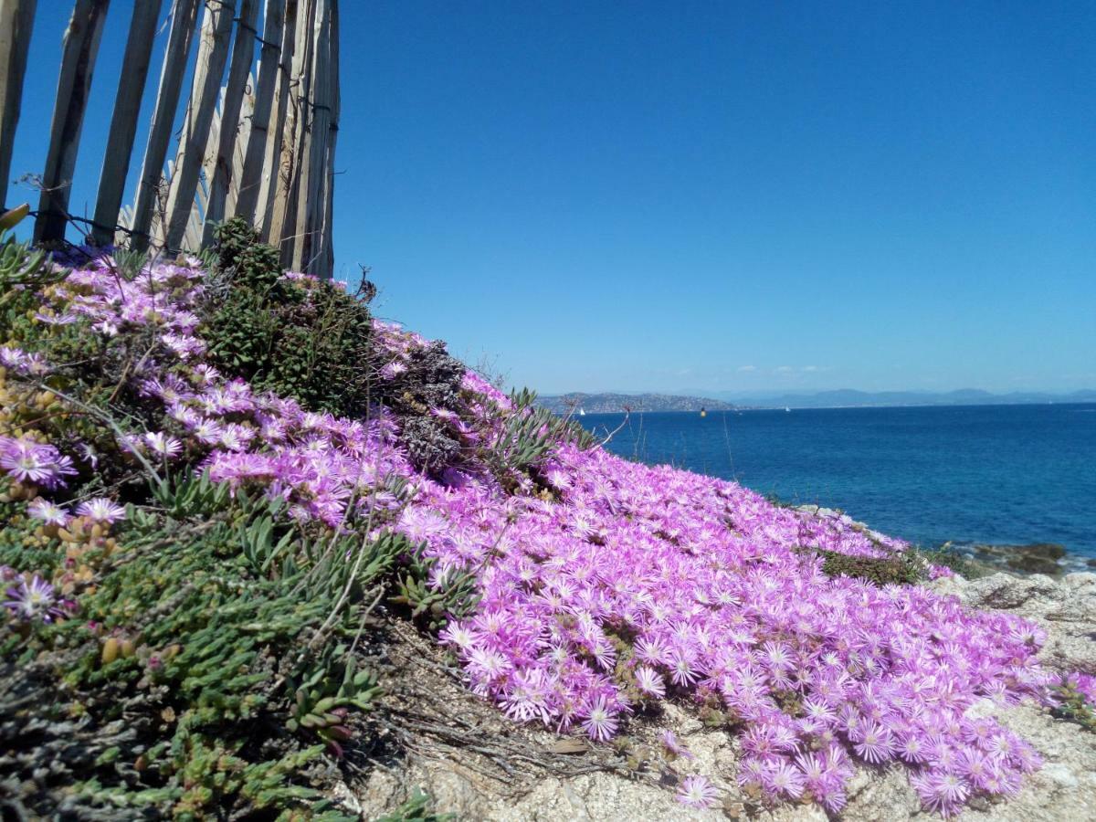 Les Calanques Daire Les Issambres Dış mekan fotoğraf